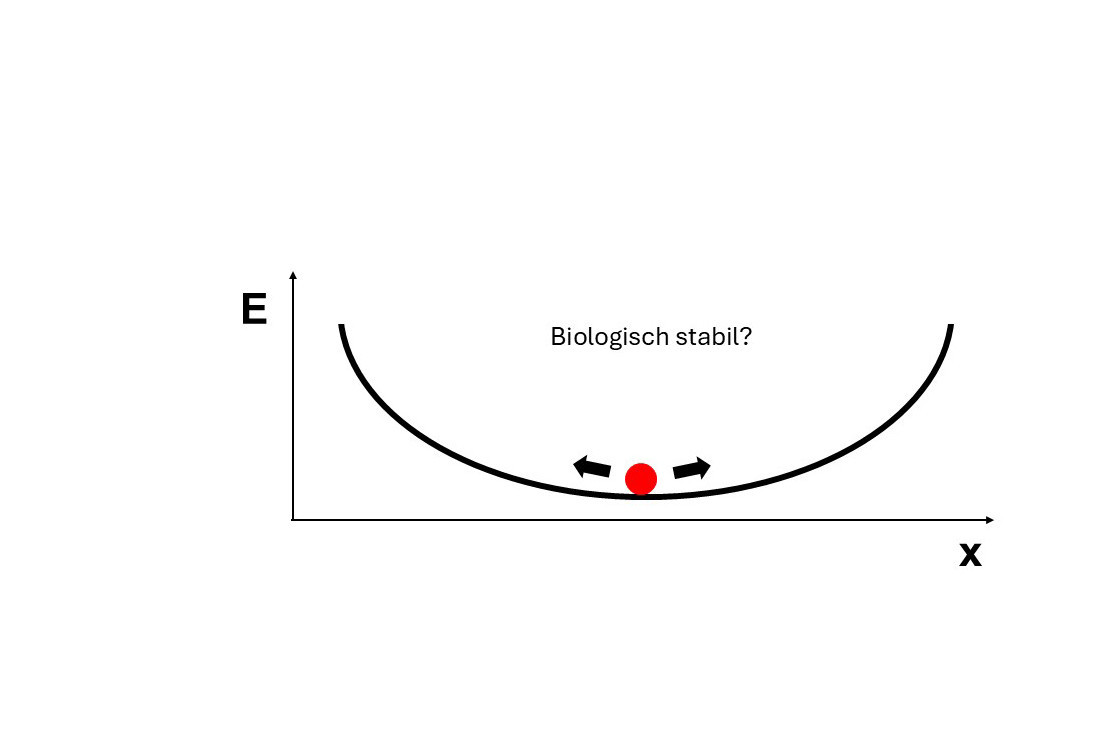 Darstellung der biologischen Stabilität anhand eines XY-Diagramms