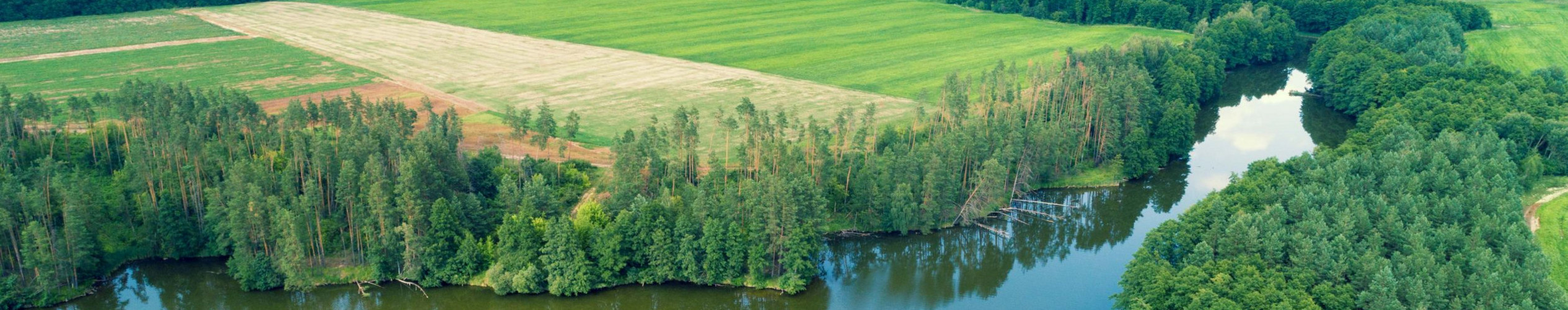 Bach fließt in einen trüben See