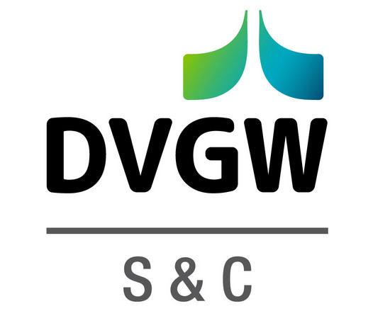 In der oberen Bildhälfte stehen über dem schwarzen Schriftzug "DVGW" ein nach links ausschwingender grüner und nach rechts ausschwingender blauer "Flügel". In der unteren Bildhälfte, nach oben durch einen grauen Strich getrennt, steht in Grau der Schriftzug "S & C"