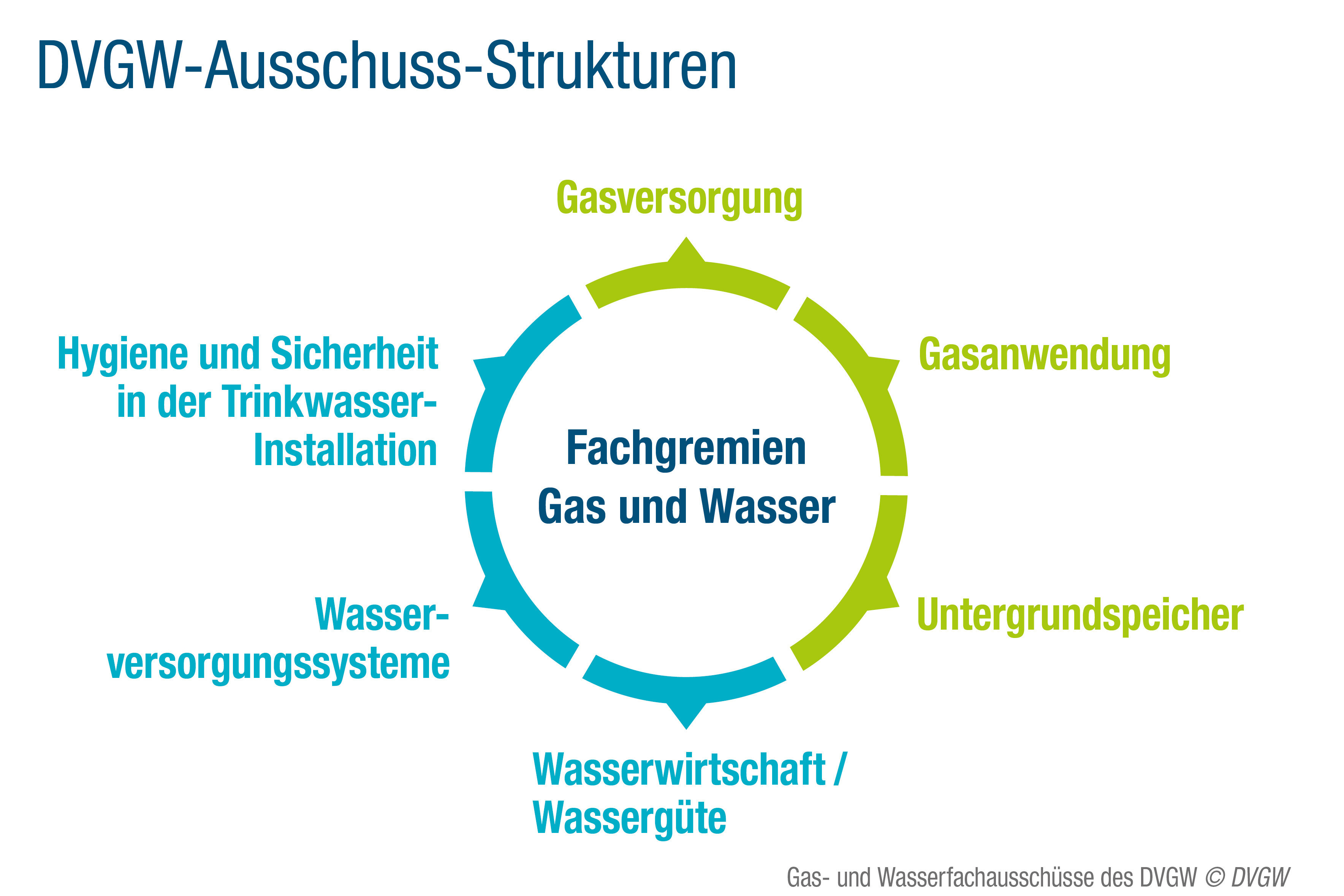 Grafik mit den Fachausschüssen: Gasversorgung; Gasanwendung; Untergrundspeicher; Wasserwirtschaft, Wassergüte; Wasserversorgungssysteme; Hygiene und Sicherheit in der Trinkwasser-Installation