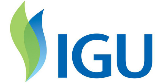 International Gas Union