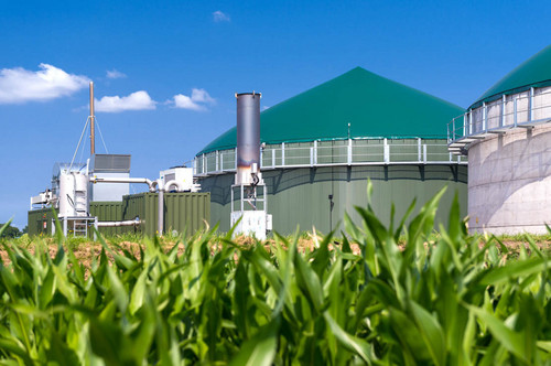 Das aus Biogas gewonnene Biomethan dient als umweltfreundlicher Kraftstoff.